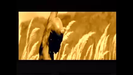 Twenty 4 Seven - Take Me Away 