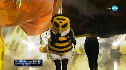 Пчелата изпълнява Високо на ФСБ | Маскираният певец