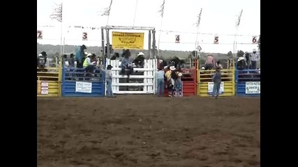 2nd Bull Ride 