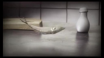 The New Music Show - Hey - Awarded Animated Music Video by Eatliz [hq]