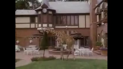 Джаксънс - American Dream Part 19