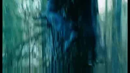 Twilight
