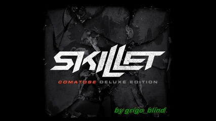 Skillet - Hero (by grigo blind)