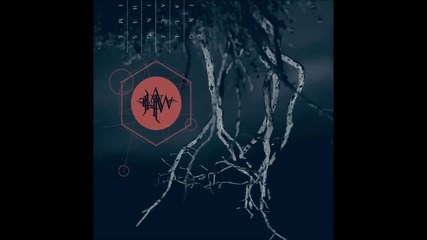 Thaw - Divine Light