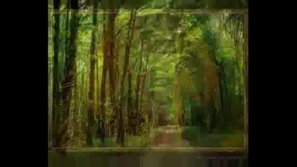 Каква Красива Природа