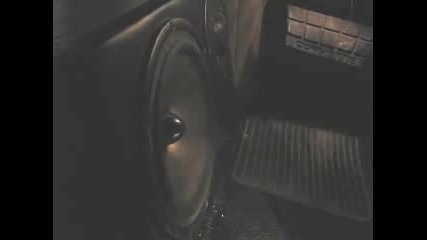 Seas Bass (2)