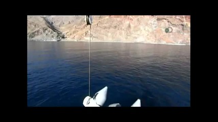 Бяла акула напада лодка