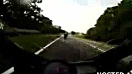 Моторист се удря в елен