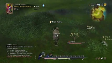 Final Fantasy 14 - Combat Marauder vs Chiglets 