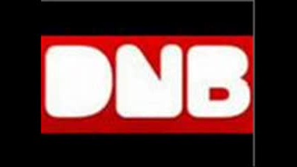 The Best of DnB JUNGLE 4