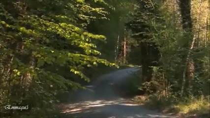 Paul Mauriat -nocturno