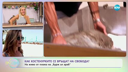 В Дубай създават спа за костенурки - „На кафе” (28.09.2023)