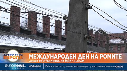 Днес е Международният ден на ромите