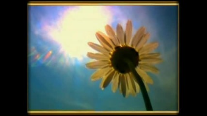Broken Heart (ludovico Einaudi)