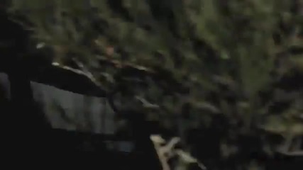Човечеството няма граници!