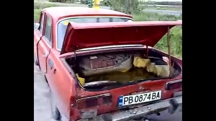 Жива ли е рибата