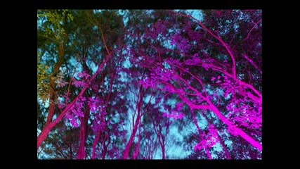 Electric Universe - Sonic Ecstasy