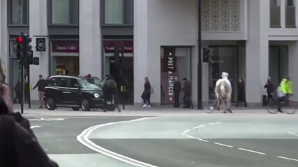 Хаос в Лондон: Избягали коне всяха паника по улиците на британската столица (ВИДЕО)