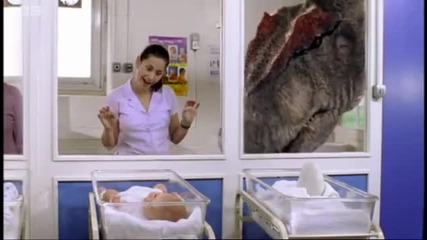 Dinosaur egg fossils - Walking with Dinosaurs