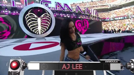 Wwe Wrestlemania 31 Aj Lee & Paige vs The Bella Twins