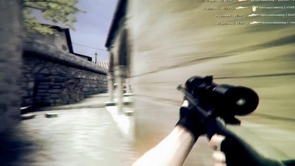 Brutality