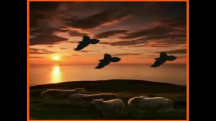 Armik - Your Touch - Amor - Maldona