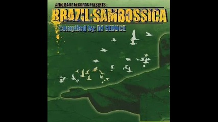 Samba de Janeiro,bellini Lyrics