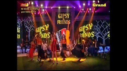 Natasa Stajic - Sreco moja , moje zlato - (tv Grandnarodna 2014)