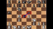 Chess Genius Paul Morphy vs. Amateur - Evans Gambit 