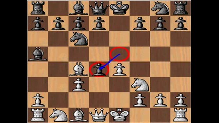 Chess Genius Paul Morphy vs. Amateur - Evans Gambit 