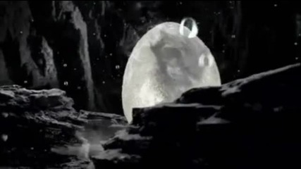 Tarja - My Little Fhoenix