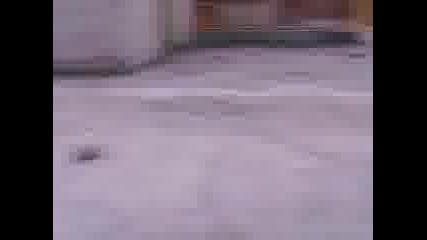 guzenica