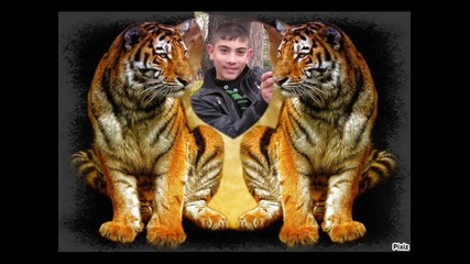 dj.harda_mitko