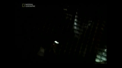 Тайните Тунели На Хитлер Част 3