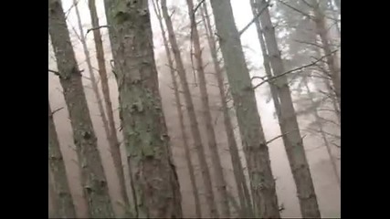 53, 5kg homemade explosive (360p)