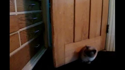 за малко да се заклещи ;)
