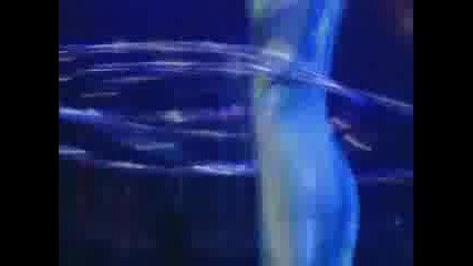 Cirque Du Soleil(alegria) - Hula Hoops