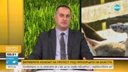 Зам.-министър Стратев: Дължим доплащане от малко над 5 млн. лв. на 92 фермери. Сумата е налична
