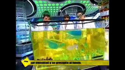 Chenoa El Hormiguero 3
