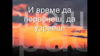 Само Времето