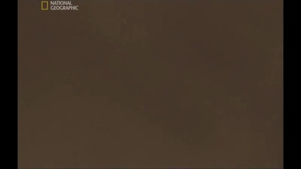 Юпитер и Луните му(1000 пъти по голям от Земята)