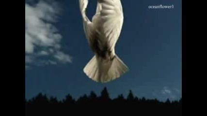 Asher Quinn - Angels Lullaby 