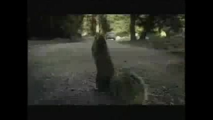 Катеричка рунтавелка (много смях)