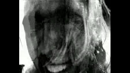 Larva - Sick