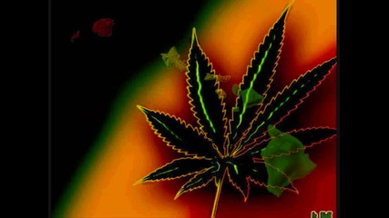 Dubstep Mix - Reggae Dubstep Mix 2010