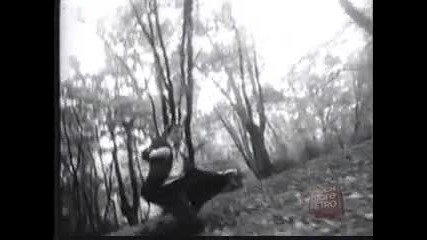 Peter Gabriel - Shock The Monkey 