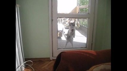 Пусни ме да вляза!