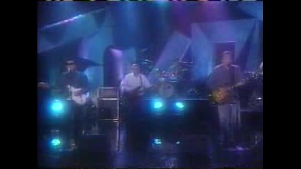 Los Lobos -  What`s Going On