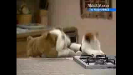 buzici s beatbox