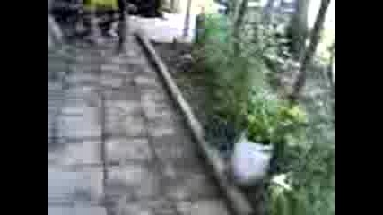 Каране на колело - пародия